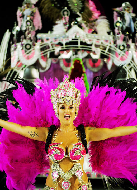 Comienza el Carnaval de Río de Janeiro (9)