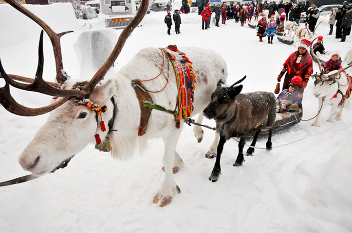 Feria del pueblo sami celebrada en febrero en Suecia 3