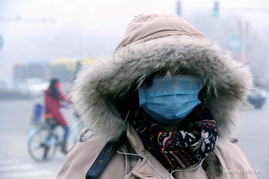 Nueva densa niebla afecta tráfico por carretera y aéreo en Beijing