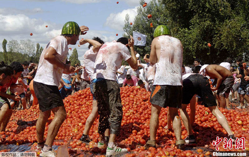 Se realizó en Chile "la guerra del tomate"