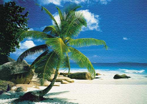 2. La Digue - Seychelles