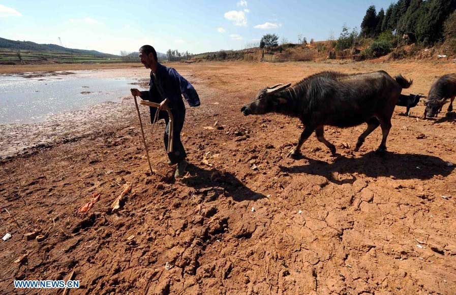 Sequía afecta a 600.000 personas en provincia china