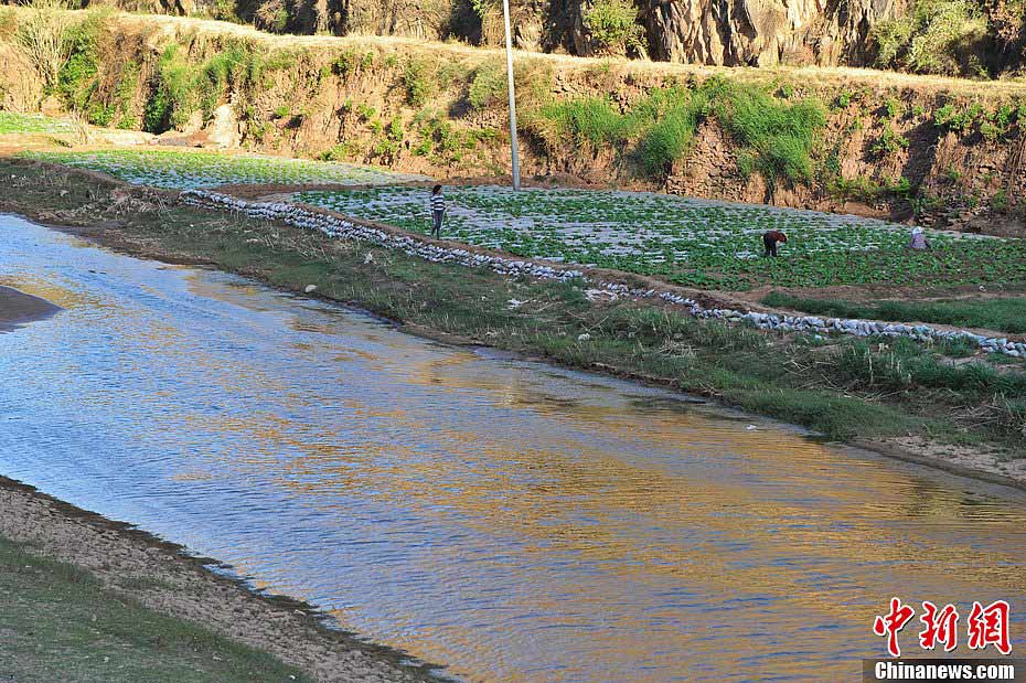 Cauce del río se convierte en huerta por sequía en Yunnan
