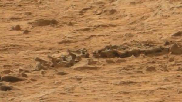 El robot Curiosity podría haber encontrado un esqueleto animal en Marte