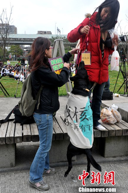 Protesta antinuclear en Taiwán 1