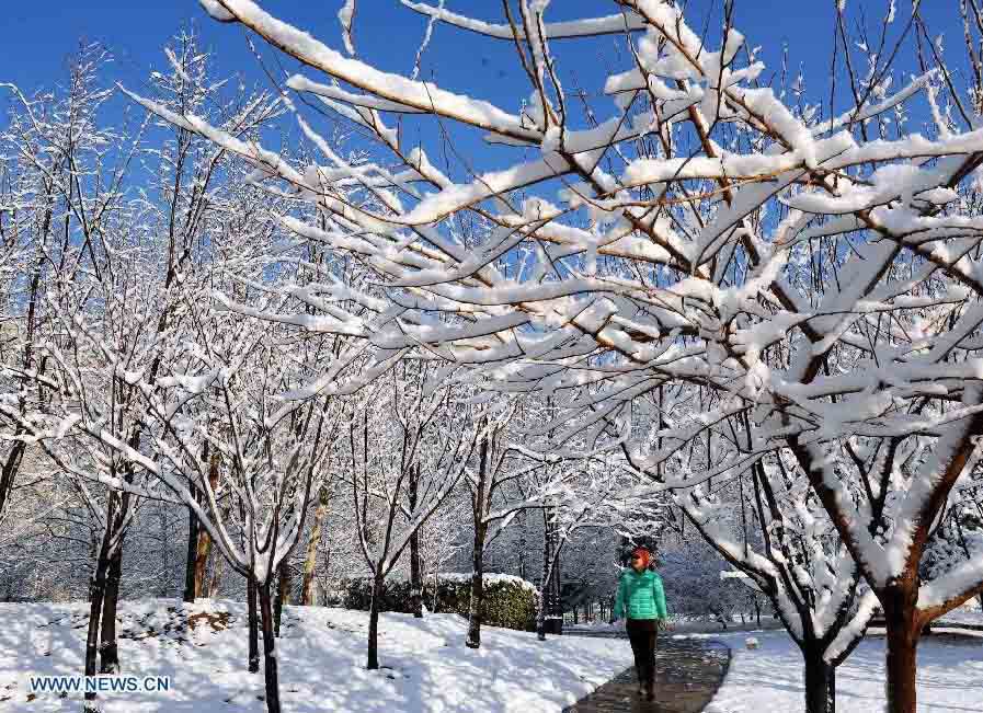 Fuerte nevada azota a Beijing