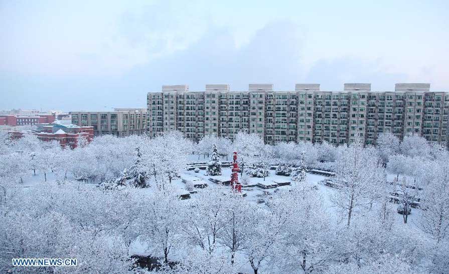 Fuerte nevada azota a Beijing