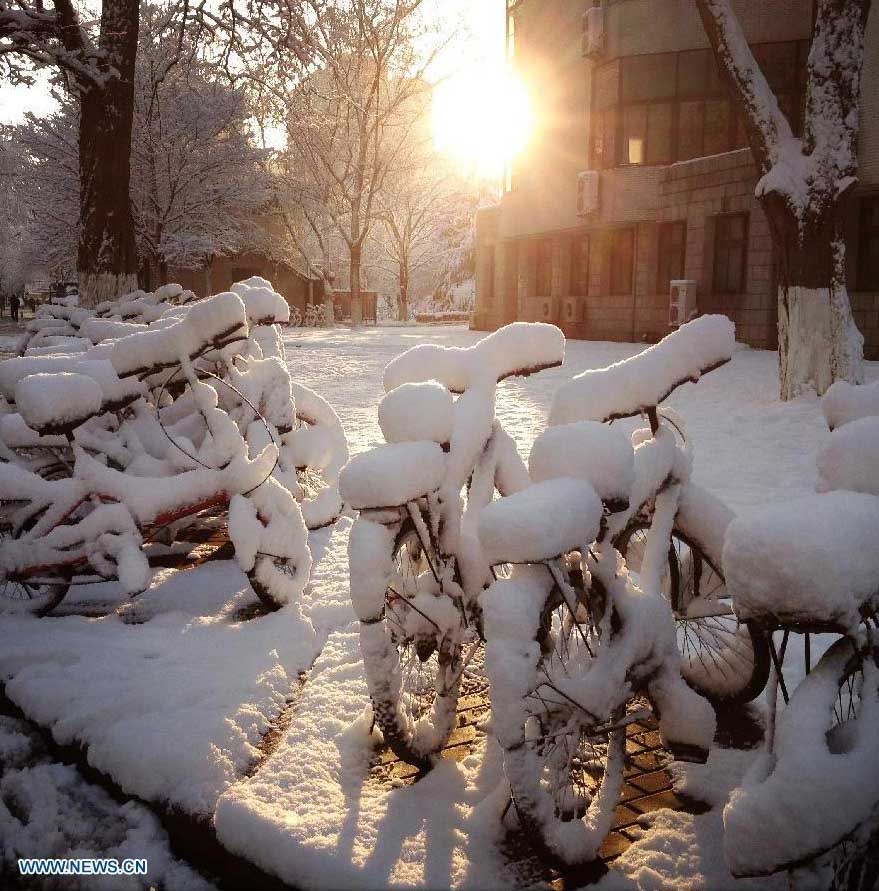 Fuerte nevada azota a Beijing