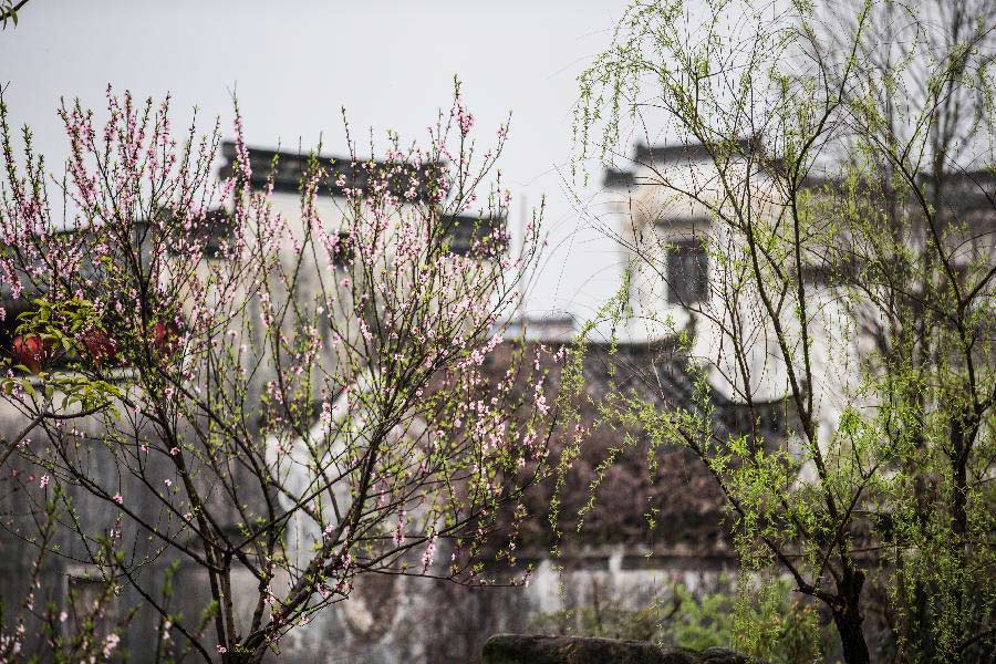 Flores en la zona de casas antiguas de la ciudad de Huangshan, Anhui de China 3