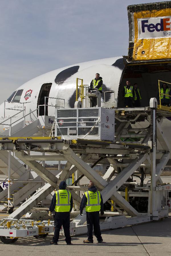 Oso panda llega a Canadá 3