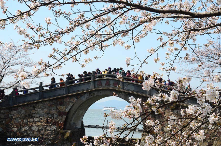 Turistas observan flores de cerezo en el área de Yuantouzhu, en Wuxi, en la provincia de Jiangsu, al este de China. 