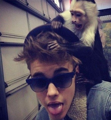 Justin Bieber tiene cuatro semanas para recoger a su mono