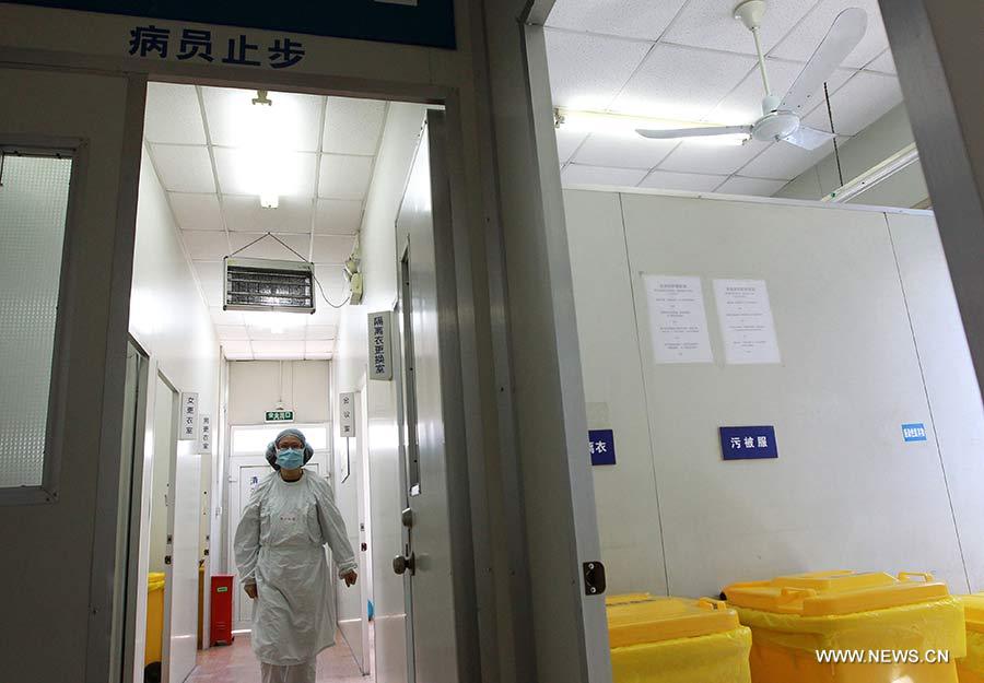Shanghai comienza sacrificio de aves por H7N9 (2)