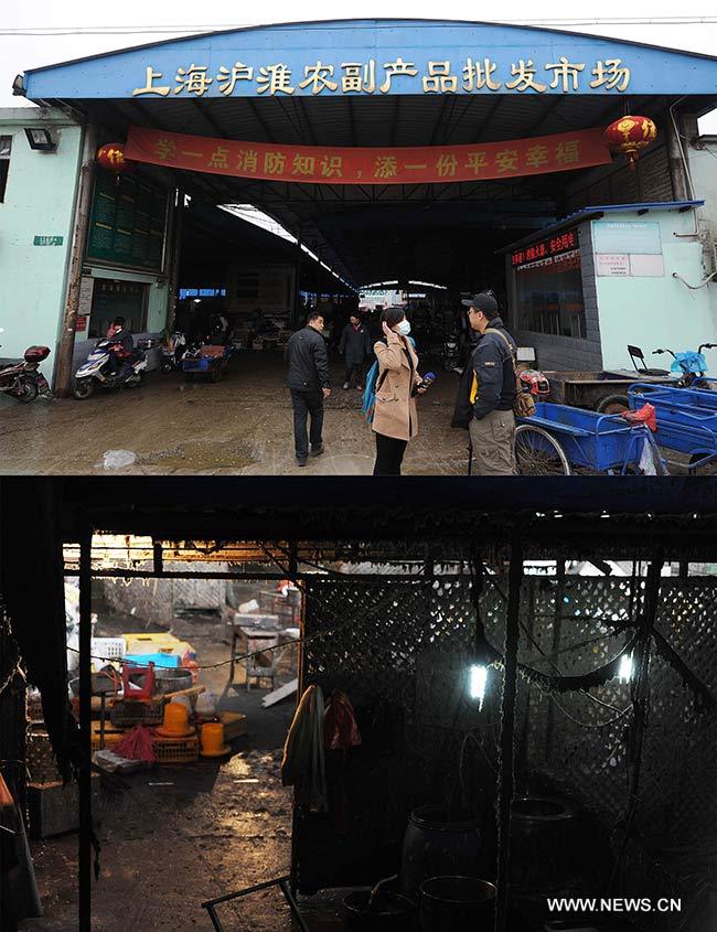 Shanghai prohíbe entrada de aves de corral vivas por gripe aviar H7N9