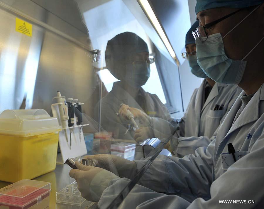 Resultan positivas a virus H7N9 más muestras en Shanghai