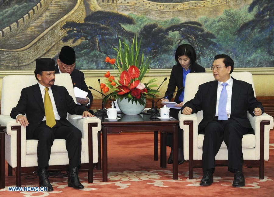 Máximo legislador chino se reúne con sultán de Brunei