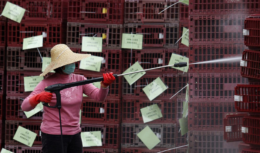 Una trabajadora limpia las jaulas vacías, que fueron utilizadas para el transporte de pollos, después de las ventas matutinas en un mercado de aves de corral al por mayor en Hong Kong, el 8 de abril 2013. (Foto: Agencias)