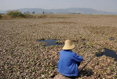 Seis meses de sequía deberían terminar pronto en Yunnan