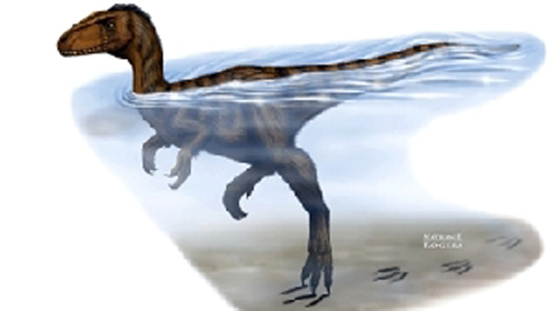 Huellas fosilizadas demuestran que dinosaurios podían nadar