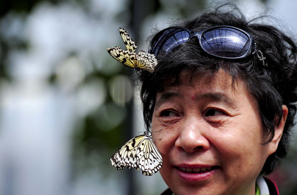 Pekín, 16/04/2013(El Pueblo en Línea)-Una mujer se divierte con mariposas en un invernadero del Jardín Botánico de Pekín el lunes. Además de cerca de 2.000 mariposas vivas, el invernadero también exhibe varios especímenes de mariposas de todo el mundo. (Foto: Asianewsphoto)