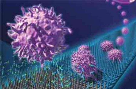 Científicos chinos desarrollan nuevo método de detección de células cancerosas