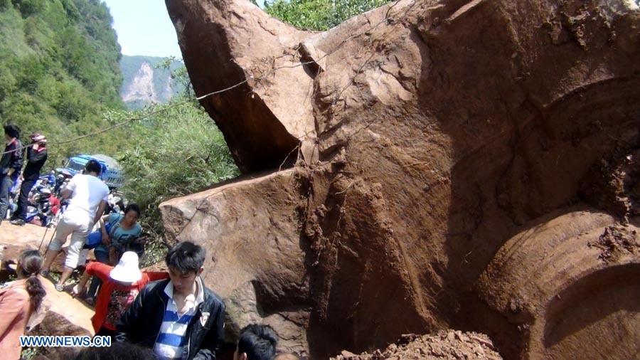 Terremoto de Ya'an menos desastroso que el de Wenchuan, según experto  5