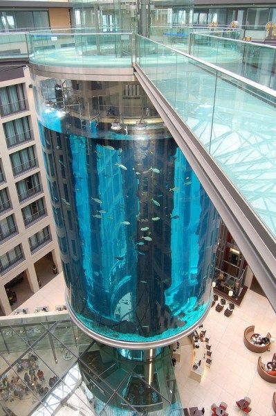 Los 11 ascensores con más creatividad del mundo 1. AquaDom, AlemaniaEl AquaDom en Berlín, Alemania, es un acuario cilíndrico de cristal de acrílico de 25 metros de altura, con un ascensor transparente. Se encuentra en el Hotel Radisson Blu en Berlín-Mitte. El AquaDom fue inaugurado en 2004 y costó alrededor de 12,8 millones de euros.