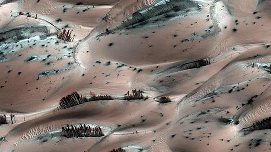 4.Los árboles de Marte