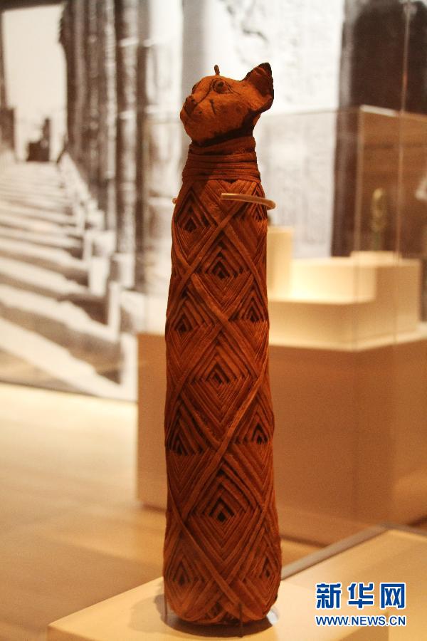 Exhiben por primera vez momia egipcia de 3.000 años en Singapur (2)