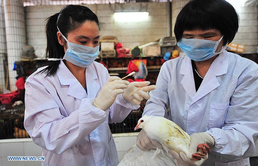 Expertos declaran seguro consumir productos avícolas en China