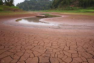 Sequía afecta 3,58 millones de hectáreas de tierras agrícolas en China