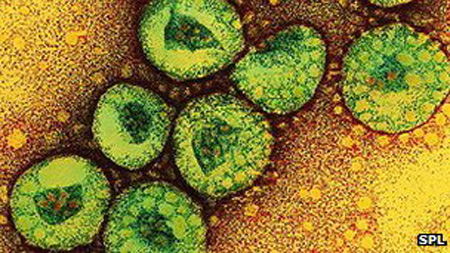 La OMS dice que nuevo coronavirus puede ser trasmisible entre personas