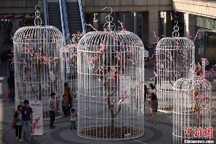 “Jaulas gigantes” en las calles de Nanjing (6)