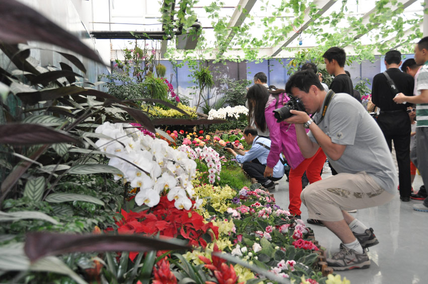 Pabellón de Taiwán en la Expo de Jardines de Pekín 3