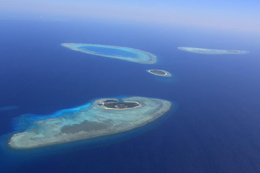 Mundo submarino hermoso de las Islas Xisha 5