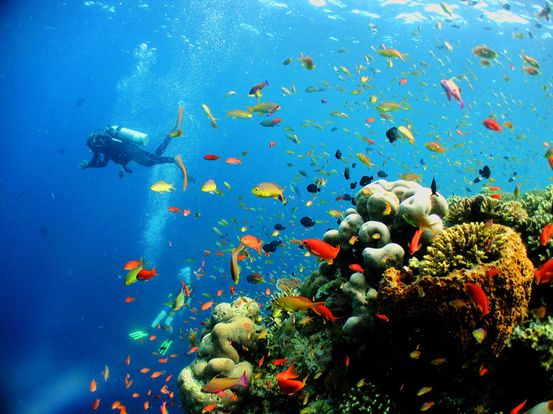 3.Sipadan