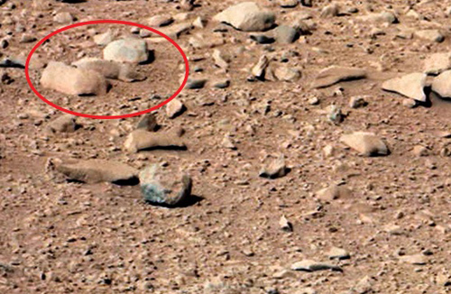 El Curiosity encuentra una rata en Marte