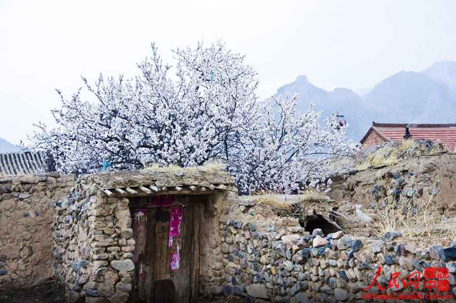 Paisaje pintoresco de la Fortaleza Shoukou en Shanxi 8