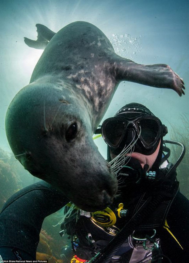 Fotos maravillosas del mundo submarino (4)
