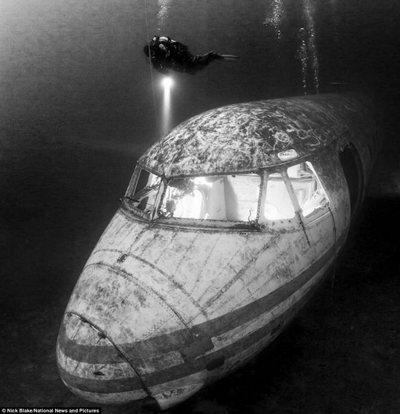 Fotos maravillosas del mundo submarino (9)