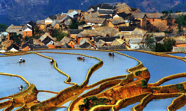 UNESCO declara Terrazas de Arroz de Hani, China, como Patrimonio Mundial
