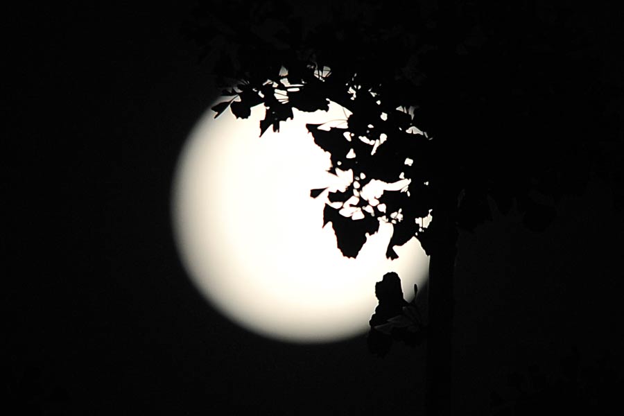 La “Super Luna” ilumina los cielos de la Tierra este fin de semana