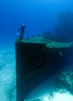 Pareja española explora buceando extraordinario mundo submarino (12)