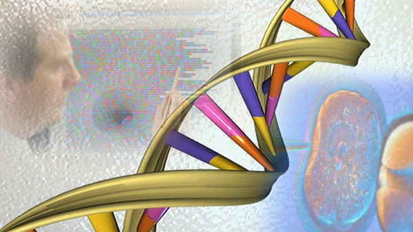 Un grupo de Científicos logran leer genomas con la ayuda de una sola célula