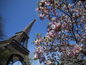 Google presenta herramienta para visitar virtualmente la Torre Eiffel