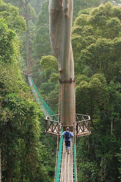 Los caminos locos del mundo, ¿Alguna vez has visto? (11)