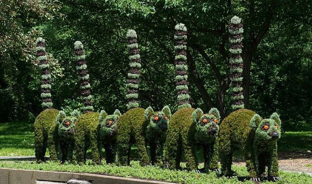 Esculturas vegetales increíbles en Jardín Botánico de Montreal 5