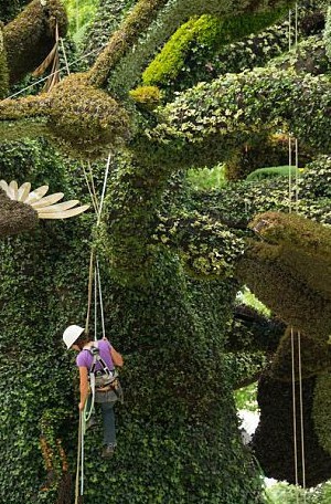 Esculturas vegetales increíbles en Jardín Botánico de Montreal 2
