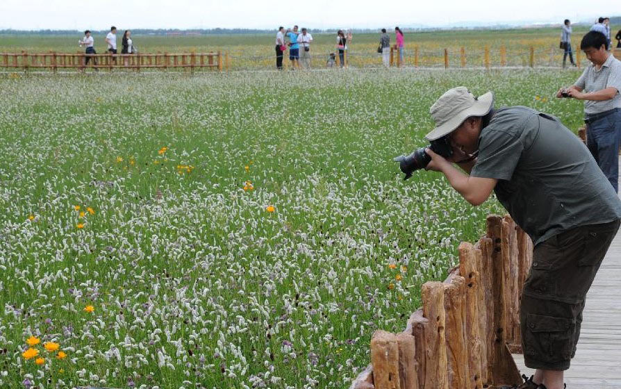 Turistas toman fotos en un lugar pintoresco en la pradera Bashang e en el distrito de Guyuan, provincia de Hebei, norte de China, el 20 de julio de 2013. La pradera ha atraído a muchos turistas para disfrutar del clima fresco. (Xinhua / Wang Xiao)