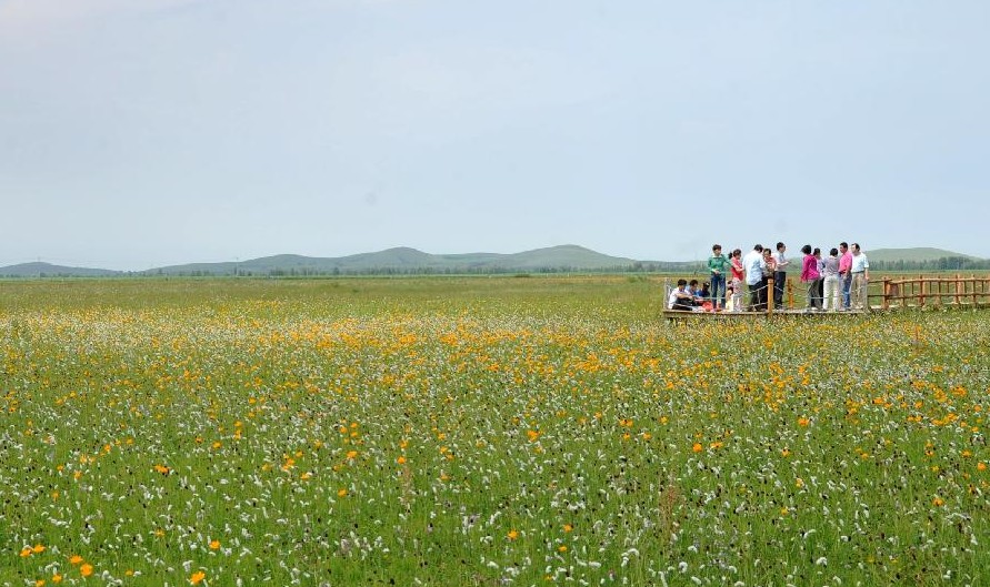 Turistas visitan un lugar pintoresco en el prado de Bashang en el distrito de Guyuan, provincia de Hebei, norte de China, el 20 de julio de 2013. La pradera ha atraído a muchos turistas para disfrutar del clima fresco. (Xinhua / Wang Xiao)
